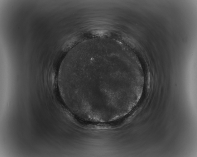 X0000086260420200704191908