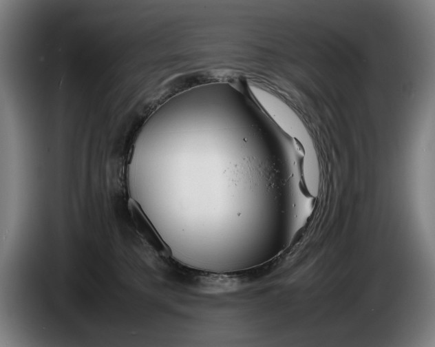 X0000086260421200704191908