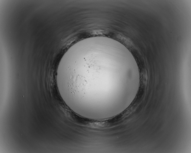 X0000086260422200704191908