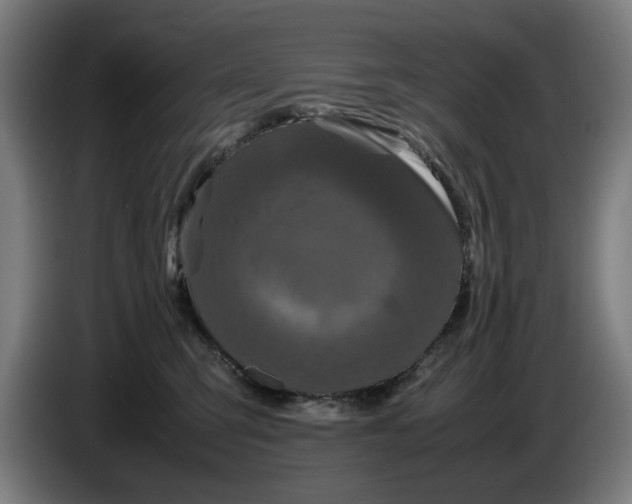 X0000086260423200704191908