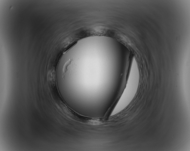 X0000086260425200704191907