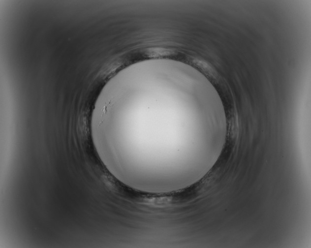 X0000086260426200704191907