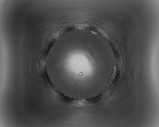 X0000086260427200704191907