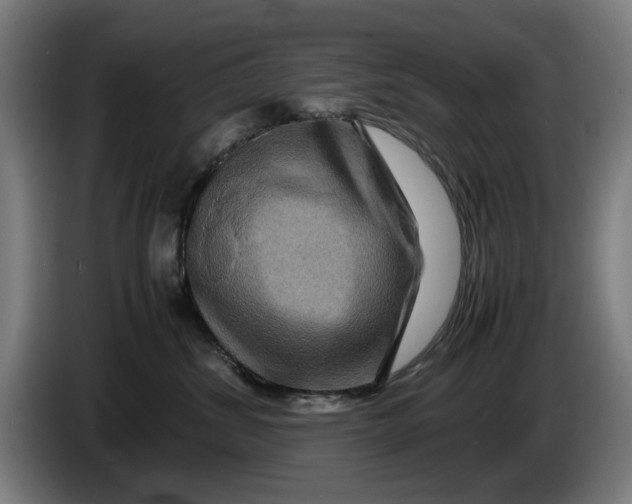 X0000086260428200704191907