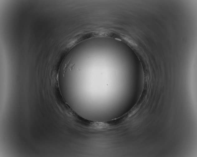 X0000086260429200704191907