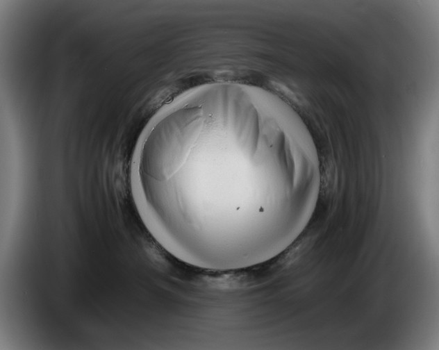 X0000086260430200704191907