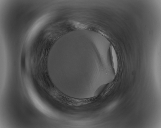 X0000086260431200704191907