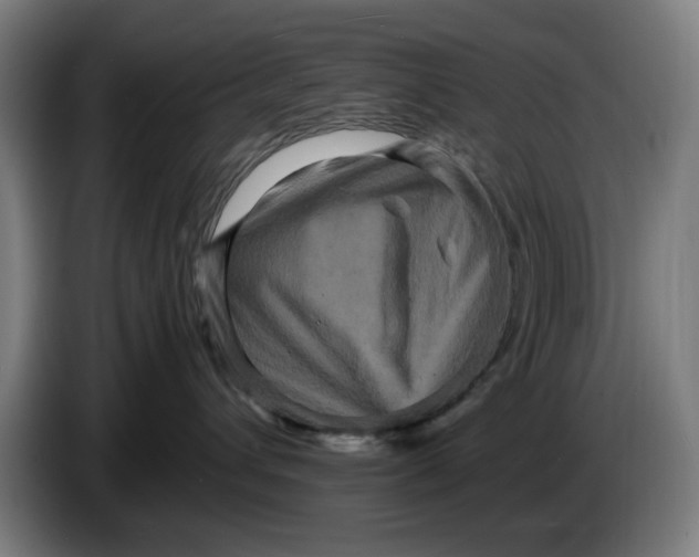 X0000086260432200704191907