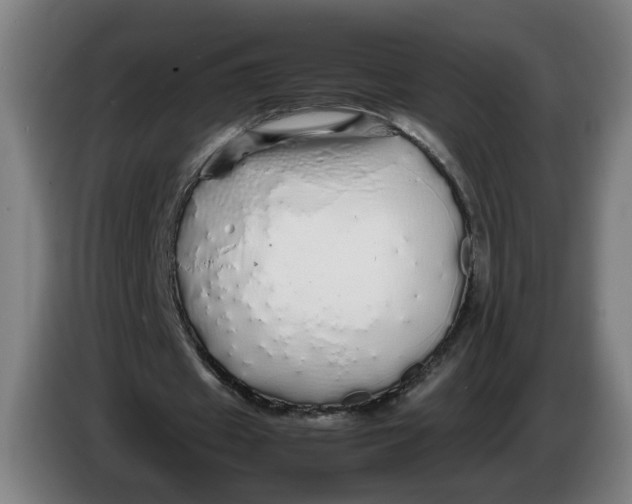 X0000086260433200704191907