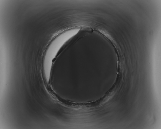 X0000086260434200704191907