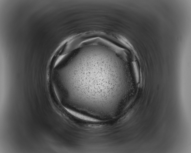 X0000086260435200704191907
