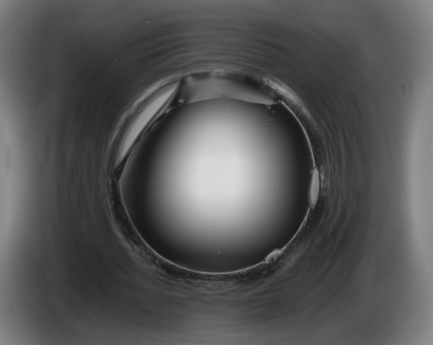 X0000086260436200704191907