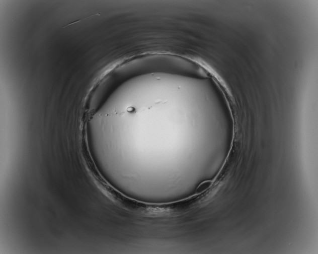X0000086260437200704191907