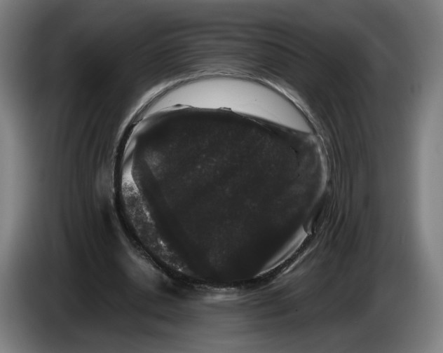 X0000086260438200704191907