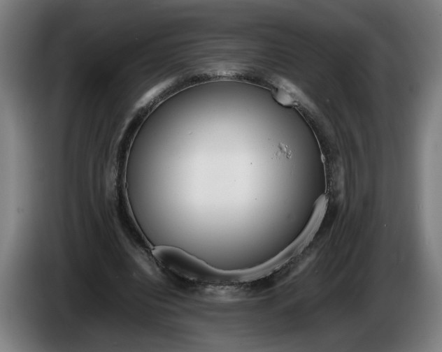 X0000086260440200704191907