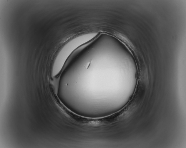 X0000086260441200704191907