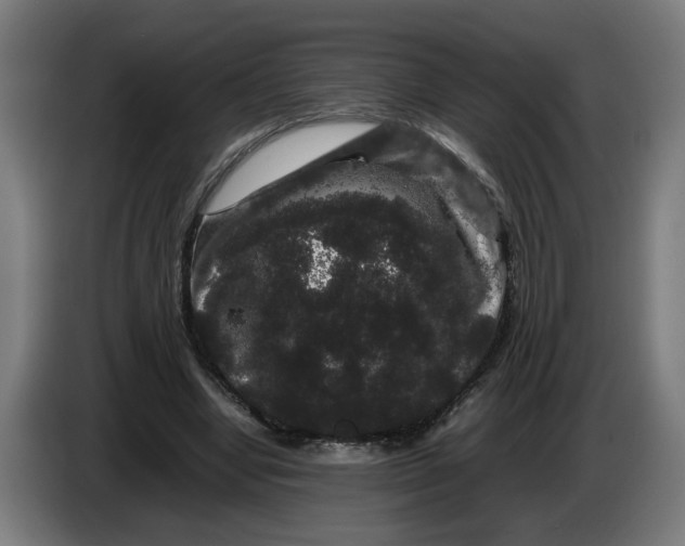 X0000086260442200704191907