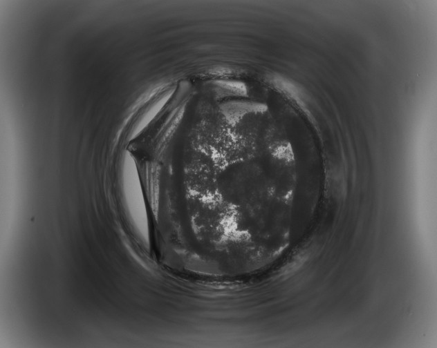 X0000086260443200704191907