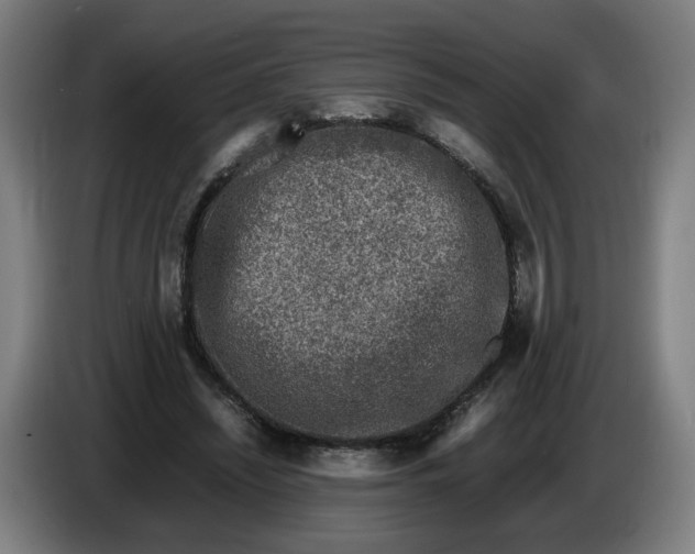 X0000086260444200704191907