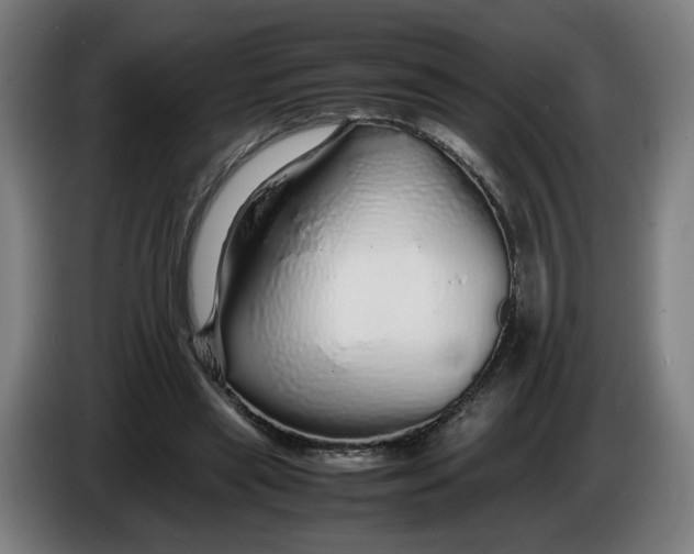 X0000086260445200704191907