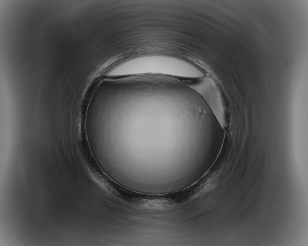 X0000086260446200704191907