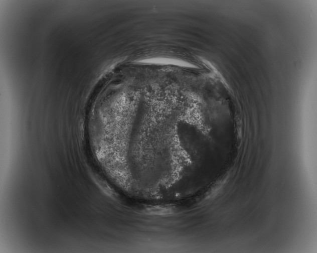 X0000086260447200704191907