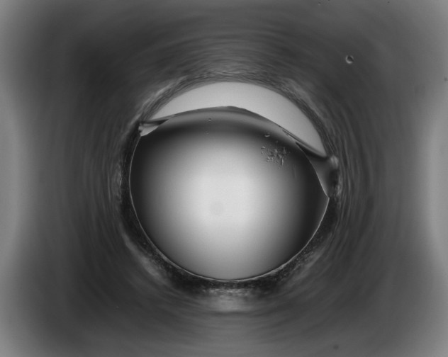 X0000086260448200704191907