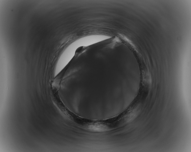 X0000086260451200704191907