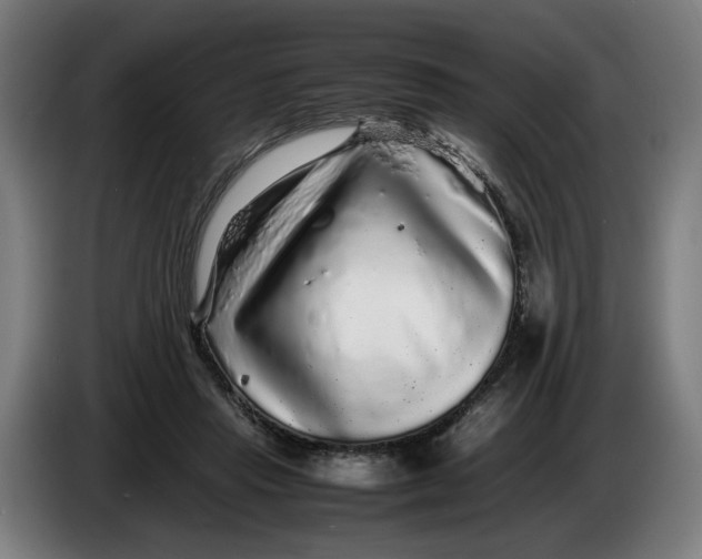 X0000086260453200704191907