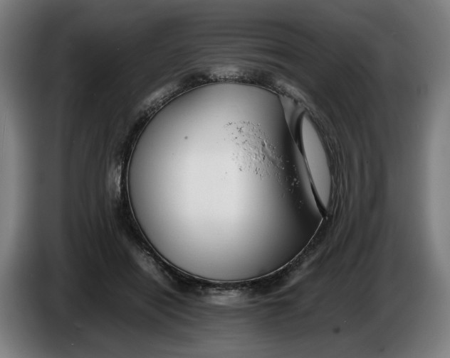 X0000086260454200704191907
