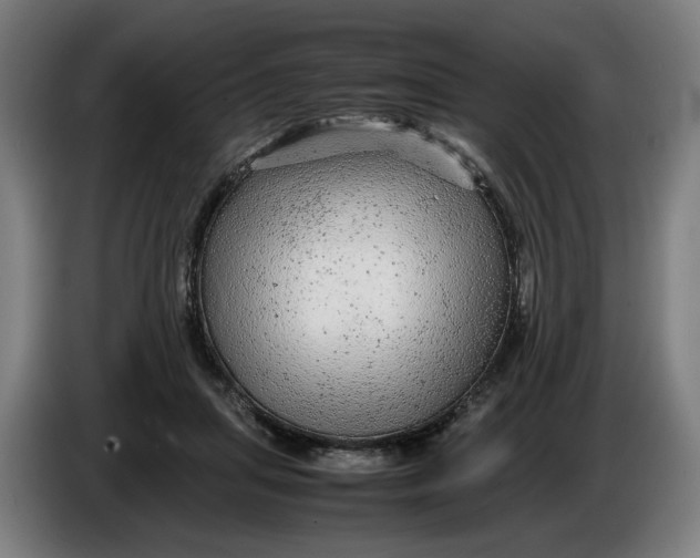 X0000086260455200704191907