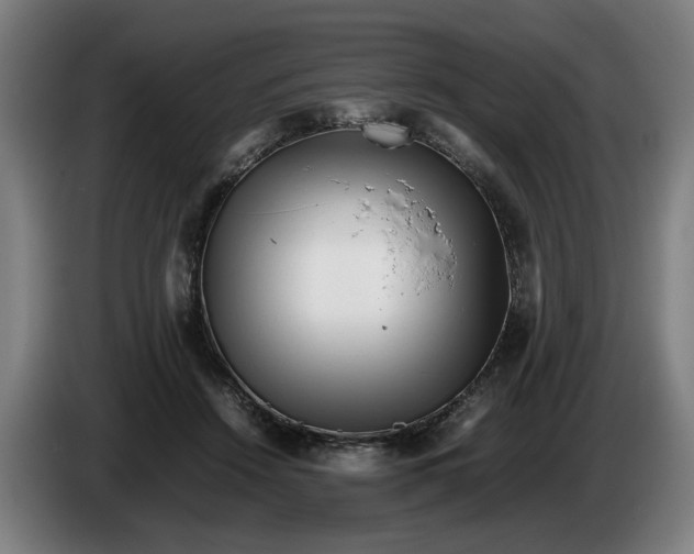 X0000086260456200704191907