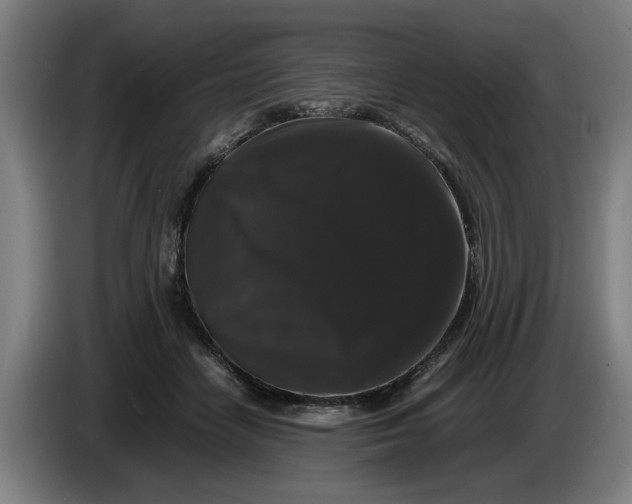 X0000086260458200704191907