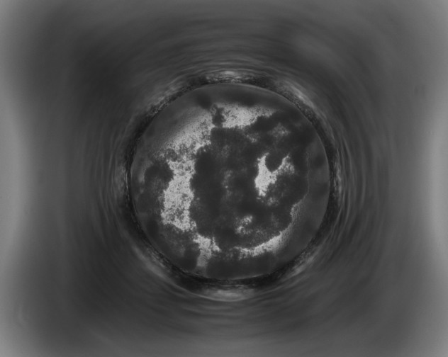 X0000086260459200704191907