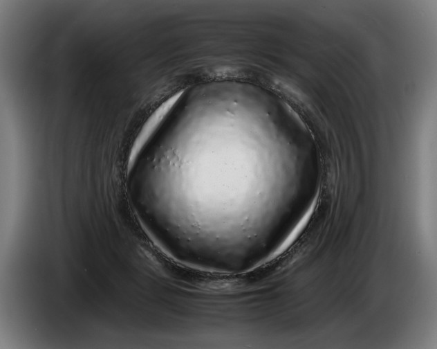 X0000086260461200704191907