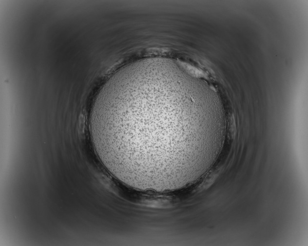 X0000086260463200704191907