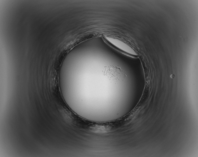 X0000086260464200704191907