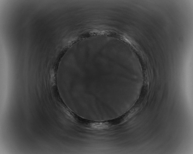 X0000086260465200704191907
