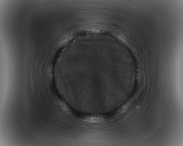 X0000086260466200704191907