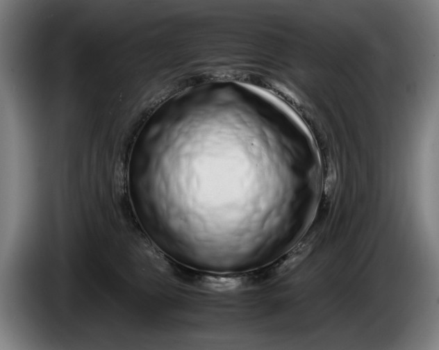 X0000086260469200704191907