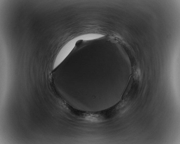 X0000086260471200704191907