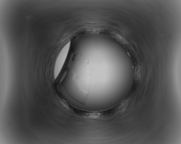 X0000086260474200704191907