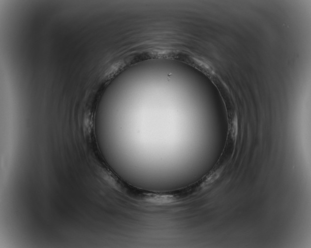 X0000086260476200704191907