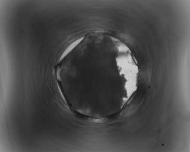 X0000086260479200704191907