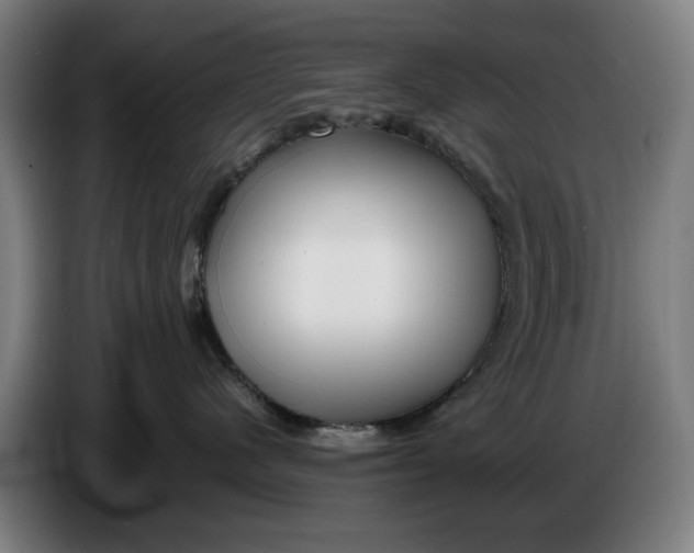 X0000086260480200704191907