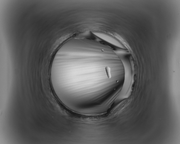 X0000086260481200704191907