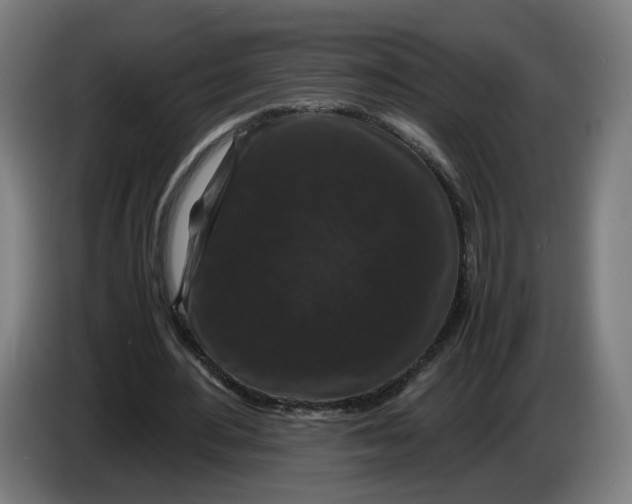 X0000086260484200704191907
