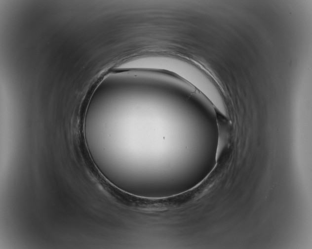 X0000086260485200704191907