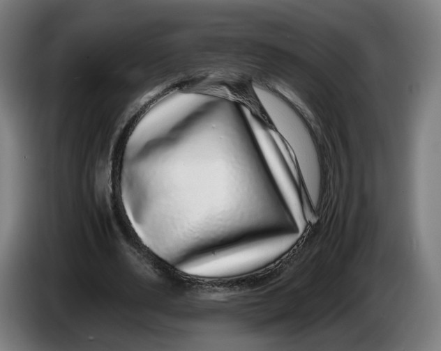 X0000086260486200704191907