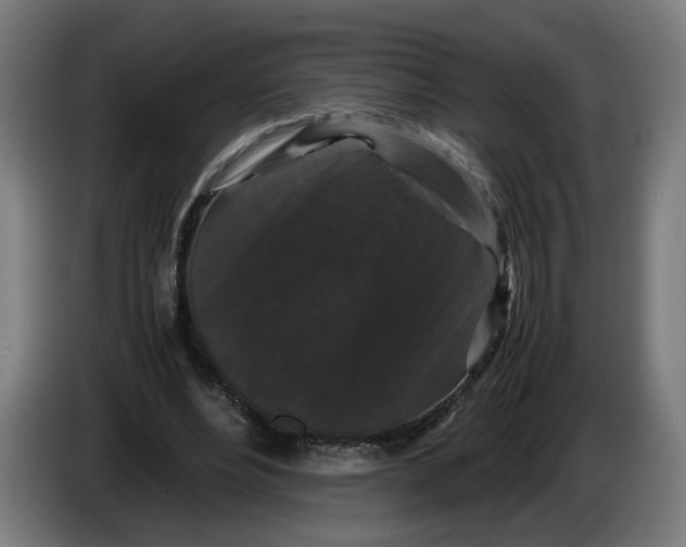 X0000086260488200704191907